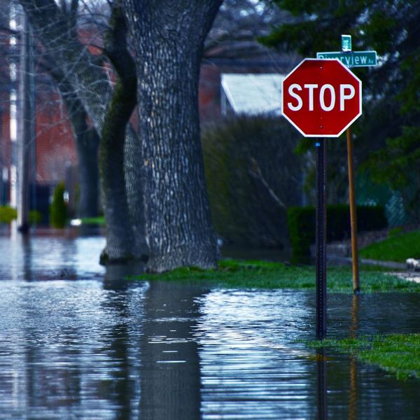 flooded street