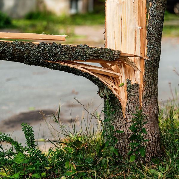 storm damage