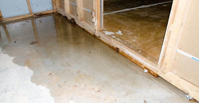 Assessing the Financial Impact of Water Damage on Your Business header.jpg