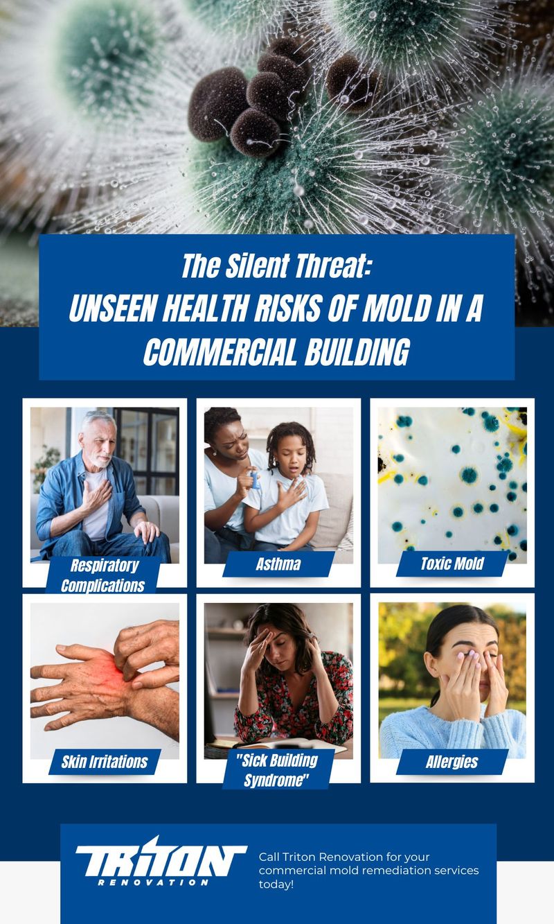 The Silent Threat Unseen Health Risks of Mold in a Commercial Building.jpg