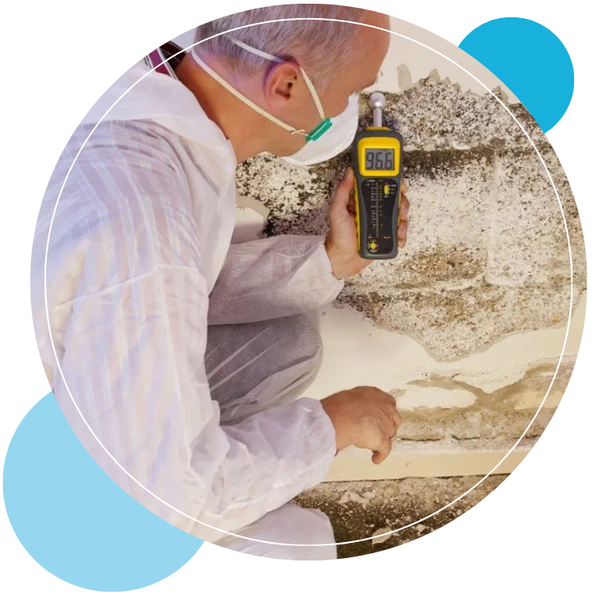 mold removal - 1.png