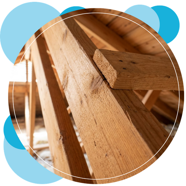 mold-removal (4).png