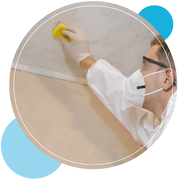 Mililani Location - 1.png