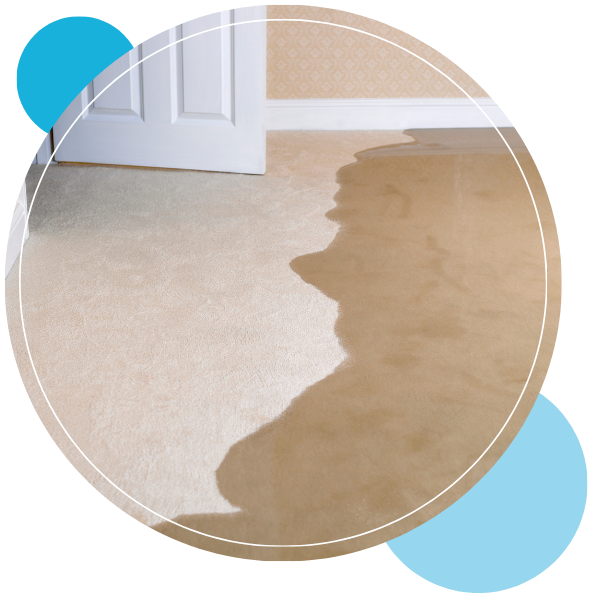 Waipahu Location - 2.png