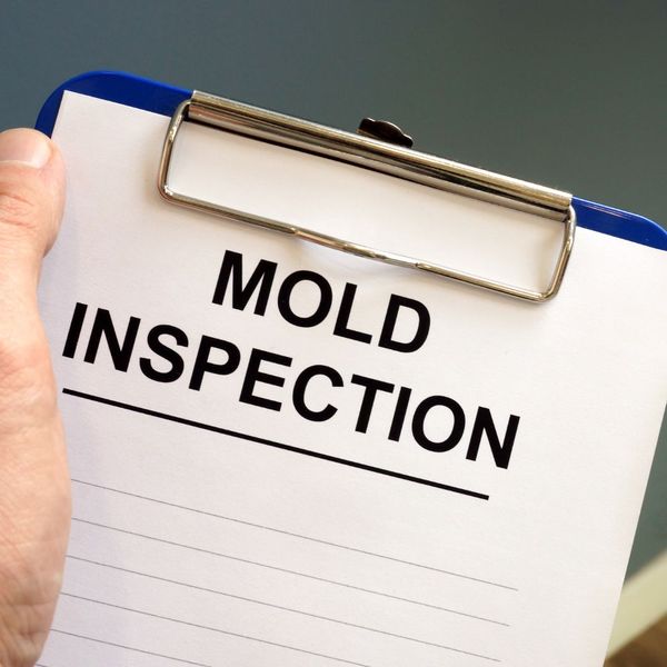 How Do You Know If Your House Is Toxic from Mold - Image 3.jpg