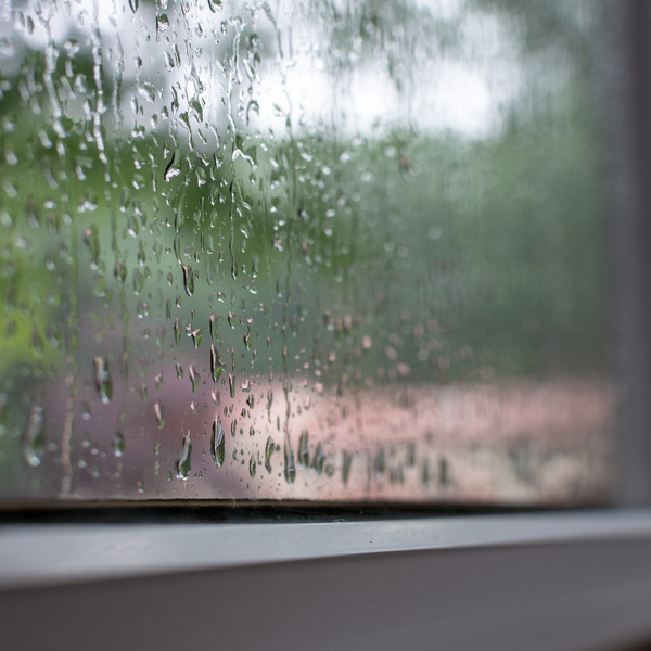 Why Honolulu%E2%80%99s Humidity is a Magnet for Mold - 1.png