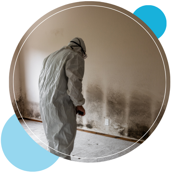 Waipahu Location - 1.png