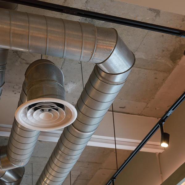 Mold Inspection vs. DIY Kits_ Why Hawaii%E2%80%99s Biodiversity Matters - 3.png