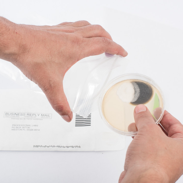 Mold Inspection vs. DIY Kits_ Why Hawaii%E2%80%99s Biodiversity Matters - 1.png