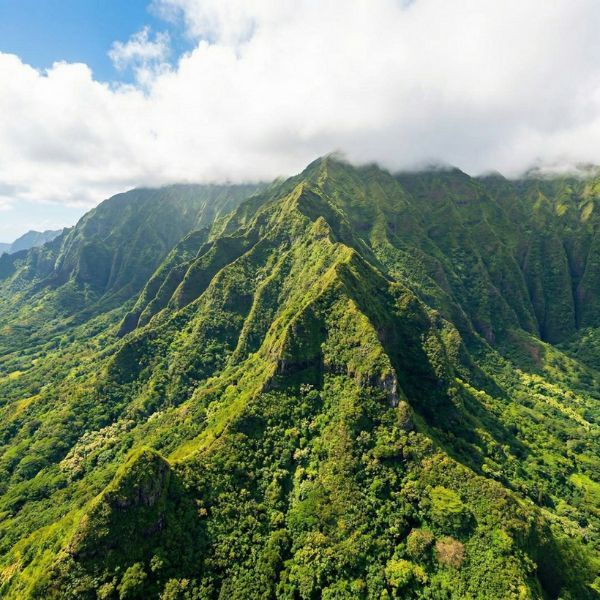 Mold Remediation (2).jpg