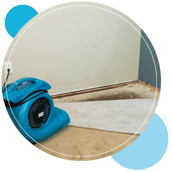 Waipahu Location - 4.png