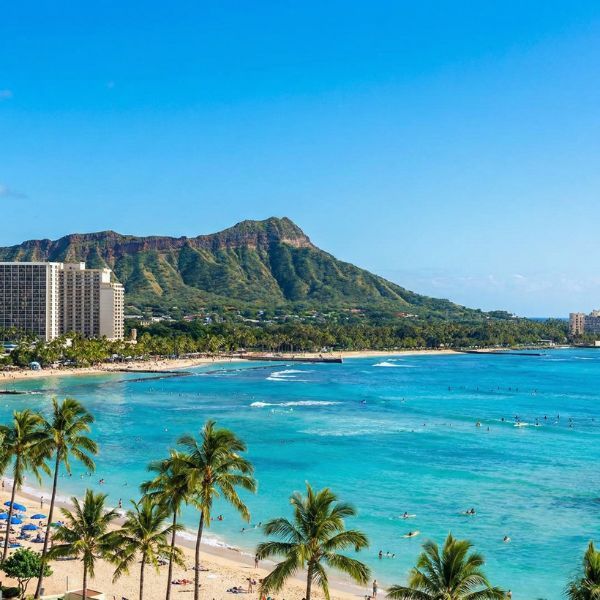 Mold Remediation.jpg