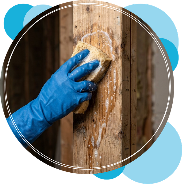 mold-removal (7).png
