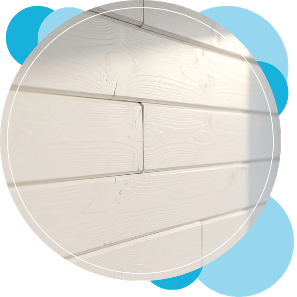 mold-removal (3).png