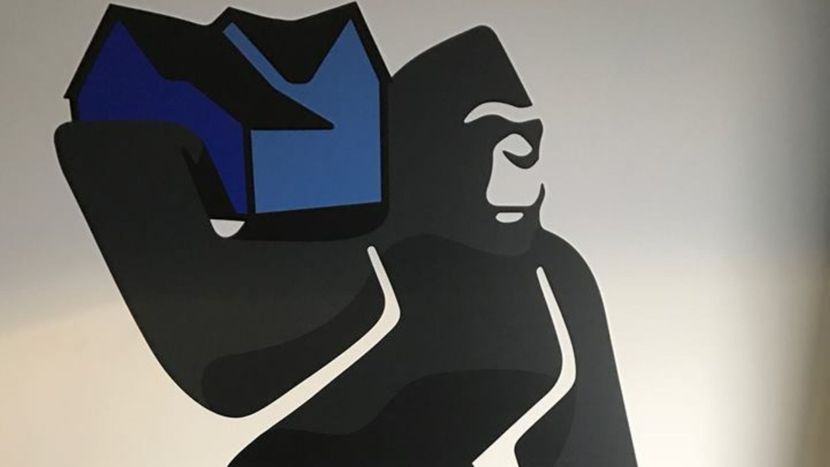 M25265 - Preparing Your Pet for a House Move Hero Image (1).jpg