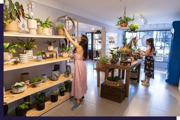 interior of small plant business