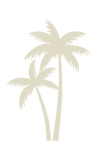 PALM ICON.png