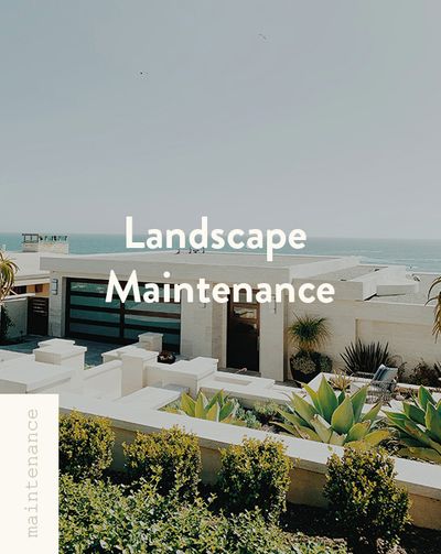 landscape maintenance