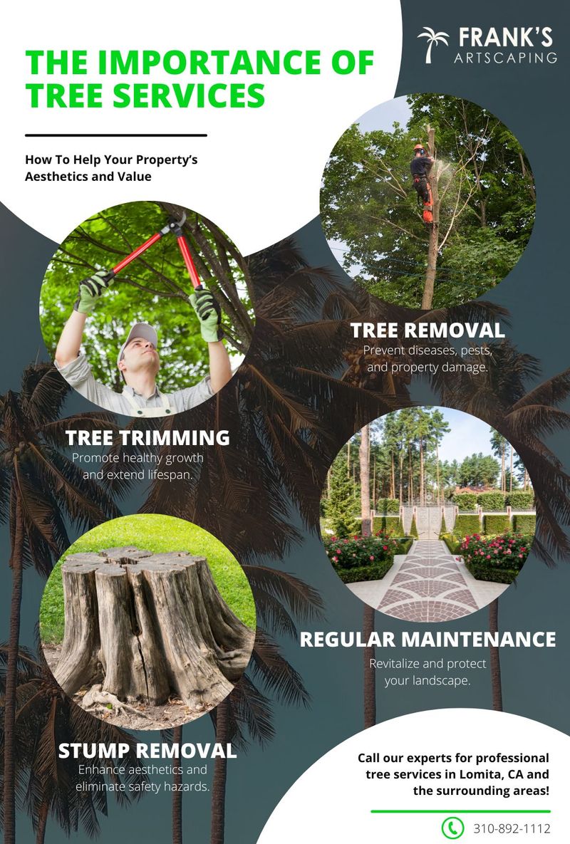 Spring Hill tree trimming