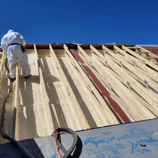 M325274 - Gallery Images (1).png