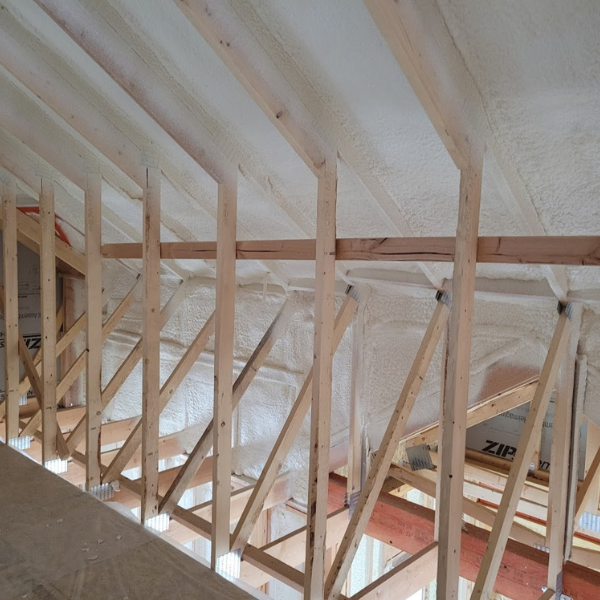 M325274 - Gallery Images (2).png