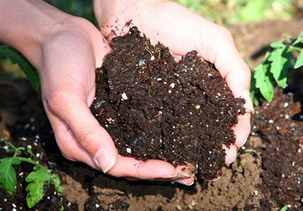 soilprep-5ad73f71921f2.jpg