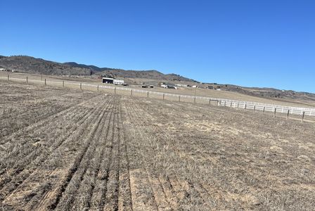 Seeding rows.jpg