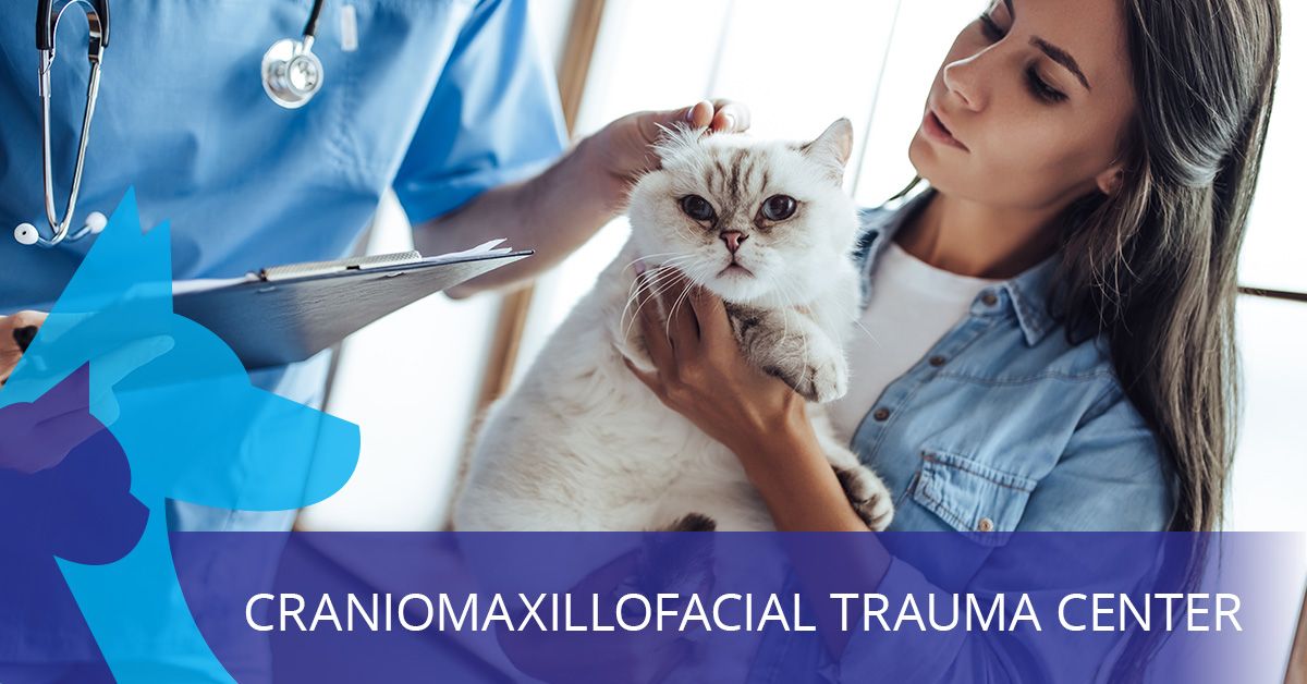 Craniomaxillofacial-Trauma-Center-5cdc20852d401.jpg