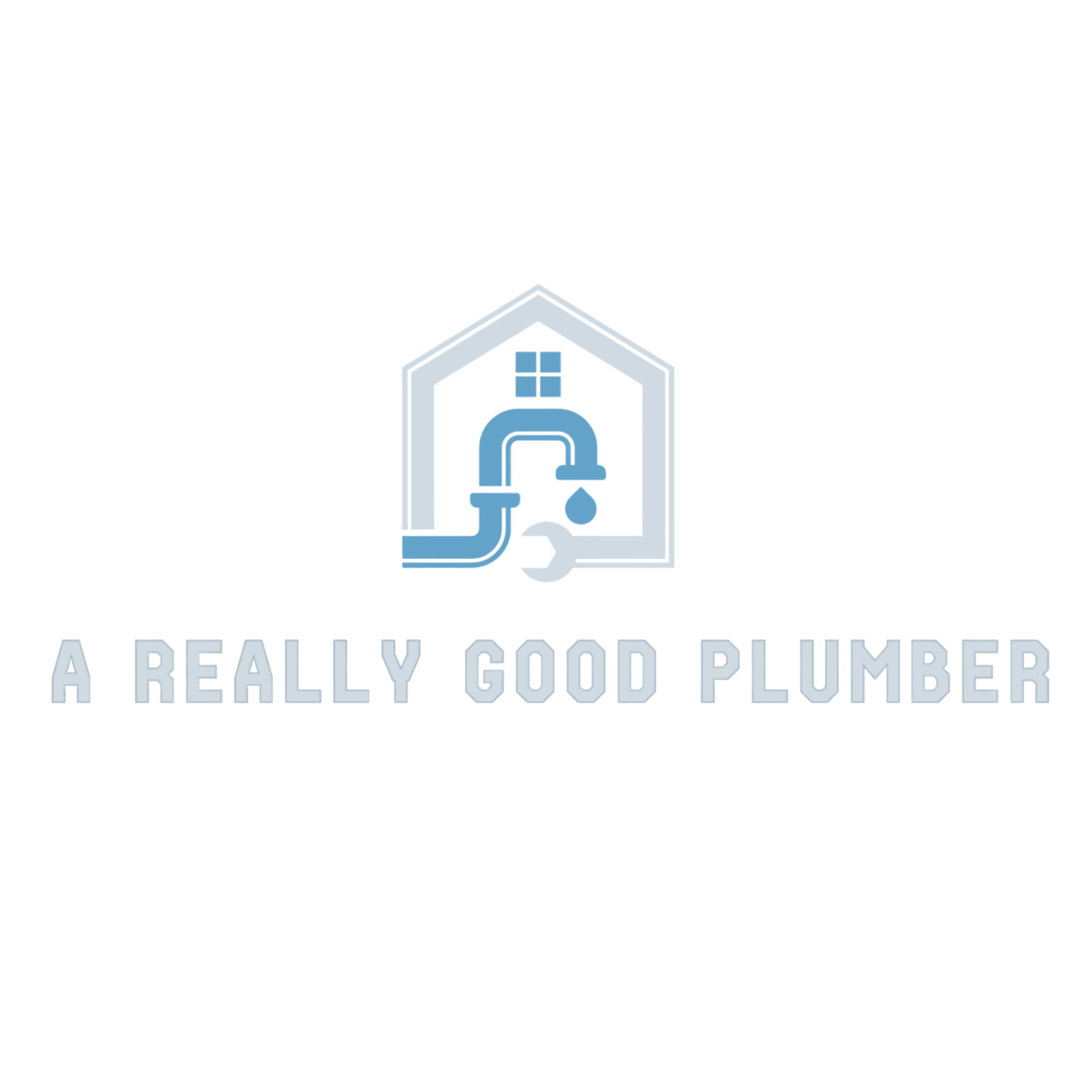 A Really Good Plumber