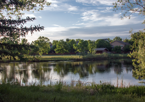 poet-fort-collins-pond-2.png