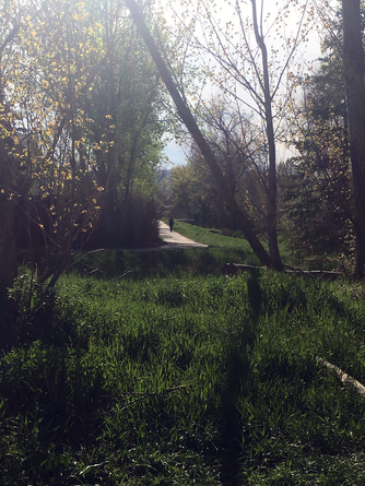 woodwest-fort-collins-paths.png