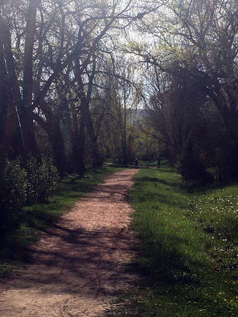 woodwest-fort-collins-hiking-path.png