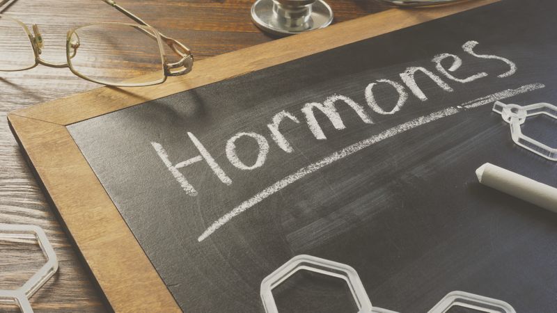 Hormones written on a blackboard