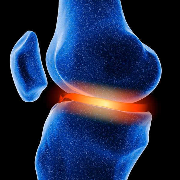 Graphic of knee joint