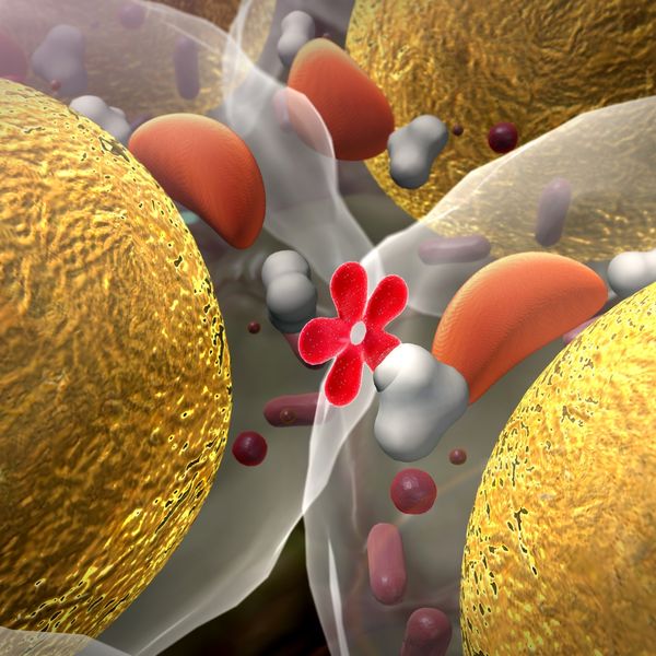 Insulin graphic