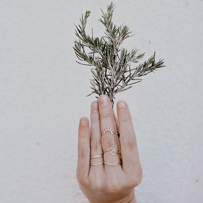 A hand holding herbs up