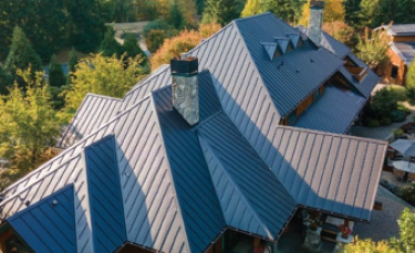 Metal Roof2.png