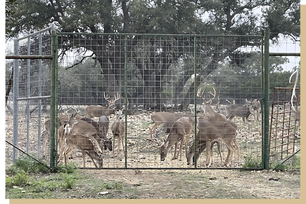 X-E Ranch property.