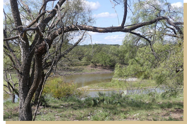 North Valley Prong Ranch