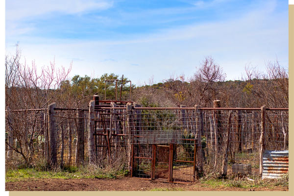 Oak Bend Ranch property.