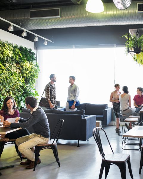 coworkers talking in office next to living wall