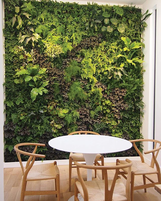 Custom Plant Walls, Vertical Gardens, Living Walls, Green Walls by plantwalldesign New York.jpeg