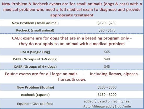 Exam Prices Jan 2025.jpg