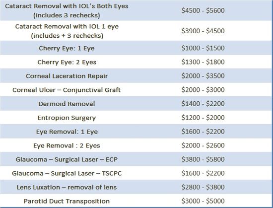 Surgery Prices Jan 2025.jpg