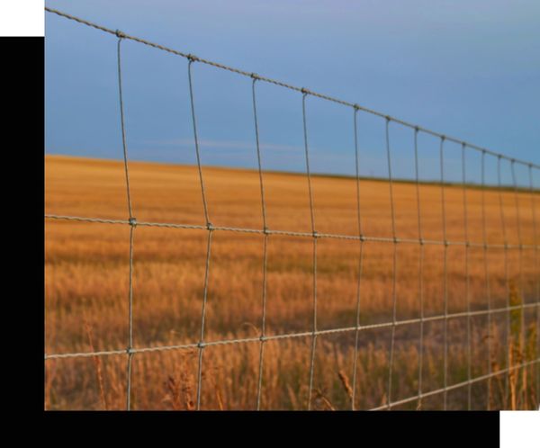 Fire Breaks Fence Line Clearing - 5050 1.jpg