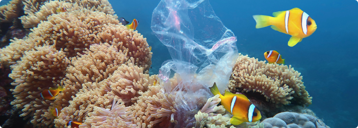 Plastic waste in the ocean near fish and coral reef