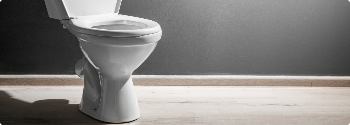 Image of a toilet Image of a toilet