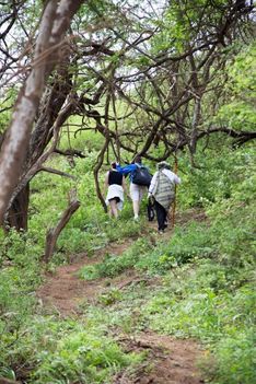 IMG-0158-5d79537331d75.jpg