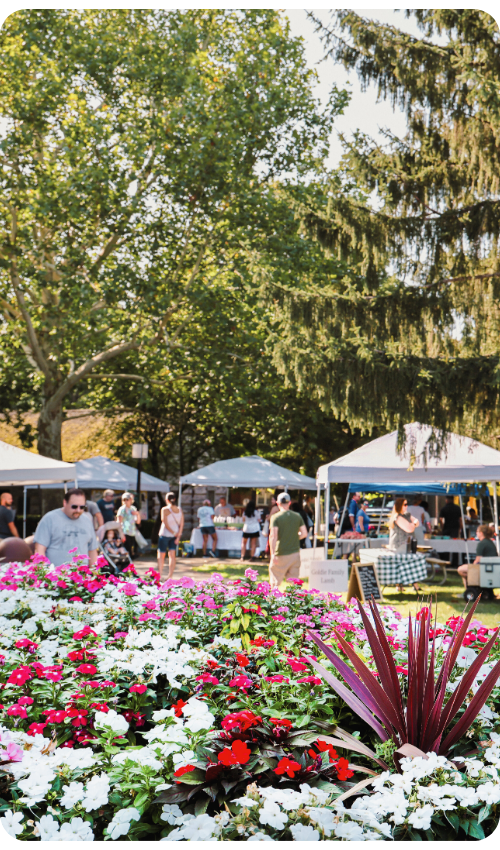 A vertical shot of an outdoor community market viewed through a vibrant bed of pink and white flowers in the foreground. In the background, white event tents are set up under large, leafy trees.