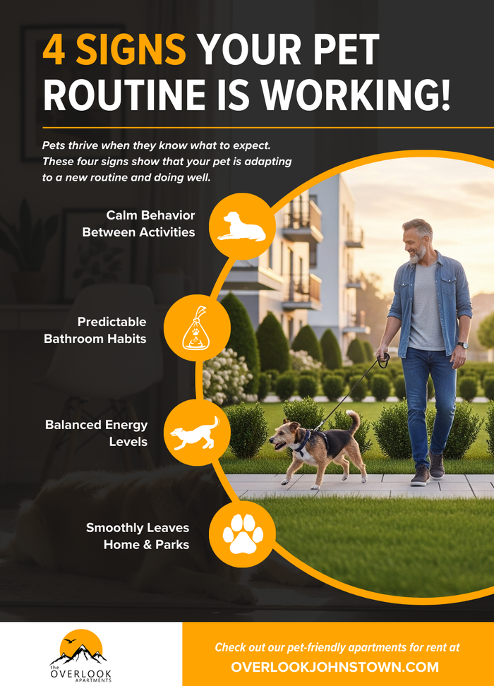 4 Signs Your Pet Routine is Working